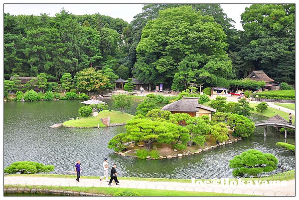 DSC_6586.jpg DSC_6586.jpg