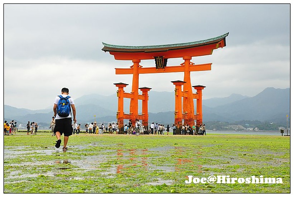 DSC_6273.JPG DSC_6273.JPG