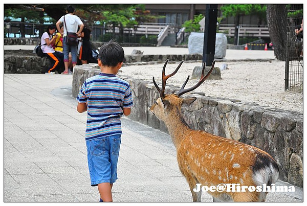 DSC_6248.JPG DSC_6248.JPG