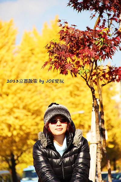 2013京都散策 2013京都散策