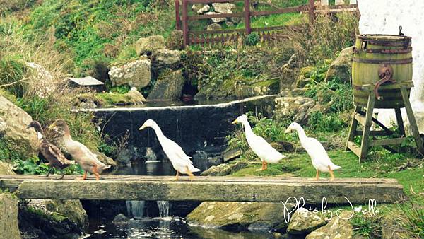 nEO_IMG_P1010833 nEO_IMG_P1010833