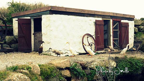 nEO_IMG_P1010836 nEO_IMG_P1010836