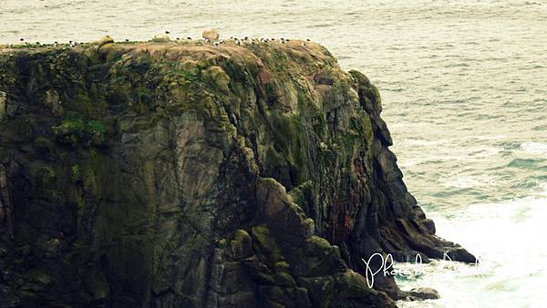 nEO_IMG_P1010863 nEO_IMG_P1010863