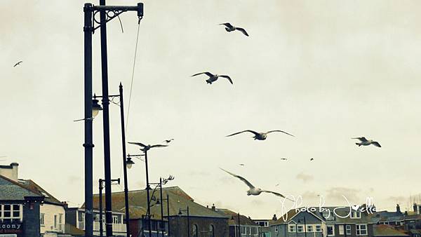 nEO_IMG_P1010985 nEO_IMG_P1010985