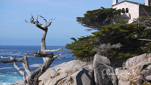17-Mile Drive, California (2) 17-Mile Drive, California (2)