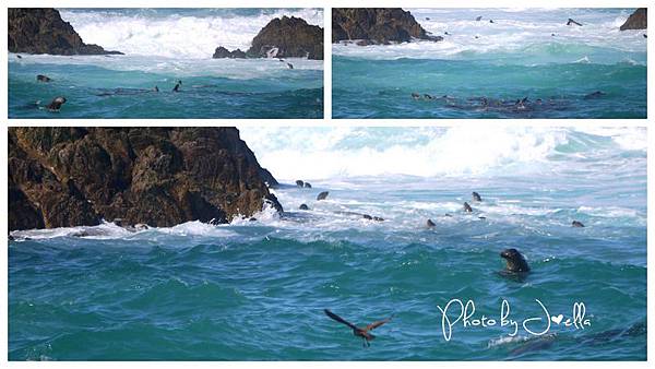 17-Mile Drive, California (6) 17-Mile Drive, California (6)