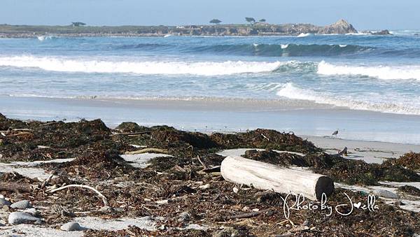 17-Mile Drive, California (7) 17-Mile Drive, California (7)
