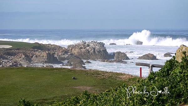 17-Mile Drive, California (13) 17-Mile Drive, California (13)