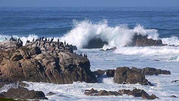 17-Mile Drive, California (14) 17-Mile Drive, California (14)