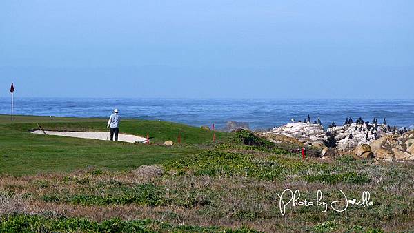 17-Mile Drive, California (15) 17-Mile Drive, California (15)