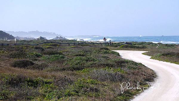 17-Mile Drive, California (16) 17-Mile Drive, California (16)
