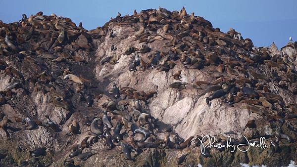 17-Mile Drive, California (18)