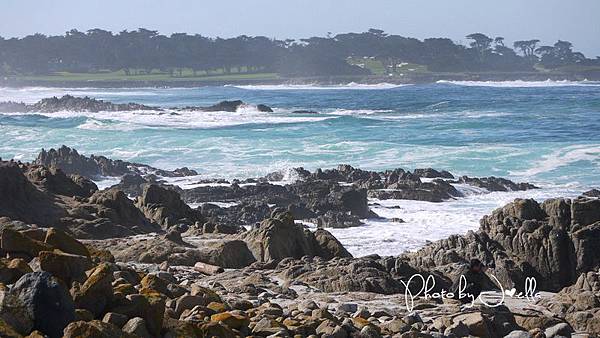 17-Mile Drive, California (21) 17-Mile Drive, California (21)