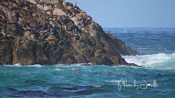 17-Mile Drive, California (24) 17-Mile Drive, California (24)
