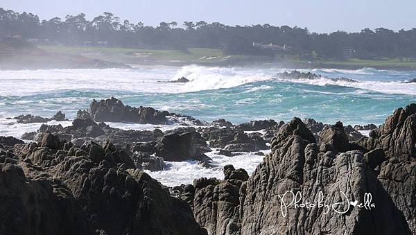 17-Mile Drive, California (26) 17-Mile Drive, California (26)