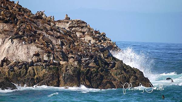 17-Mile Drive, California (28) 17-Mile Drive, California (28)