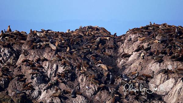 17-Mile Drive, California (30) 17-Mile Drive, California (30)