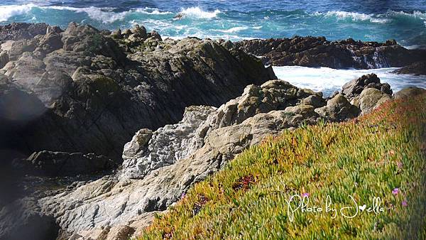 17-Mile Drive, California (33) 17-Mile Drive, California (33)
