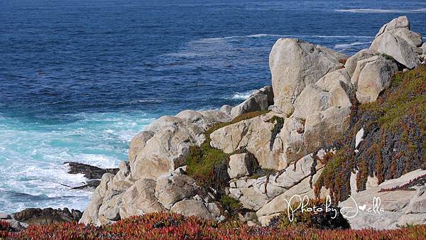 17-Mile Drive, California (35)