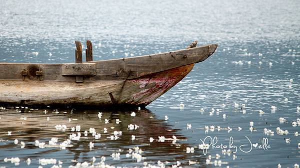 瀘沽湖 (8)