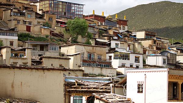 香格里拉2日遊_4葛松贊林寺 (4)