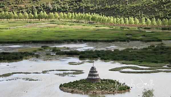 香格里拉2日遊_4葛松贊林寺 (12)