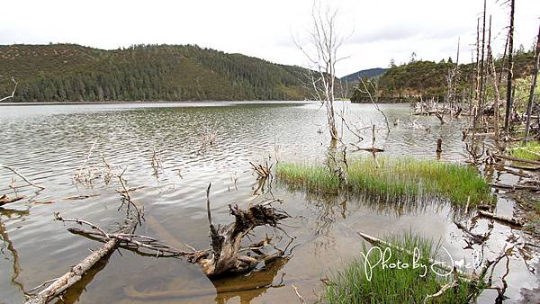 香格里拉2日遊_6普達措國家公園 (6)