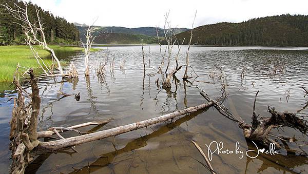 香格里拉2日遊_6普達措國家公園 (7)
