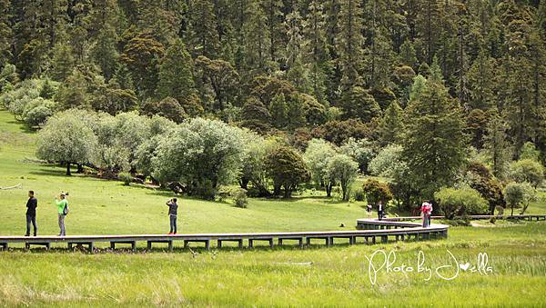 香格里拉2日遊_6普達措國家公園 (15)