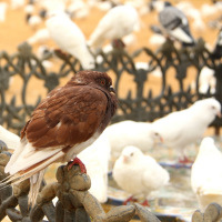 SPAIN_Schedule (6).JPG SPAIN_Schedule (6).JPG