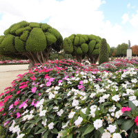 SPAIN_Schedule (13).JPG SPAIN_Schedule (13).JPG