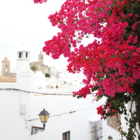 SPAIN_Schedule (21).JPG SPAIN_Schedule (21).JPG