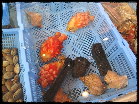 食07.JPG 食07.JPG