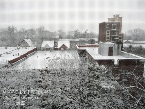 紐約大風雪 01.jpg