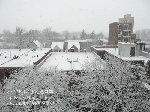 MAGGIE 於紐約播報氣象 01.jpg