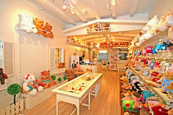 teddy house central world
