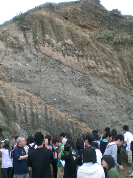 看看牆面上的白點!