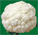 農委會花椰菜圖