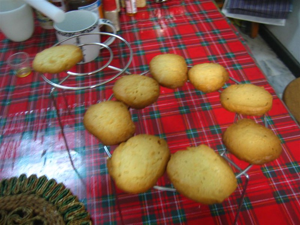 IMG_2753.JPG IMG_2753.JPG