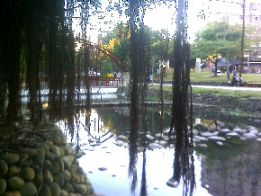 新竹 護城河a.jpg