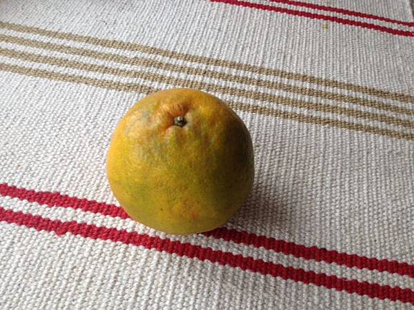 橘子切法 一條龍 一長條