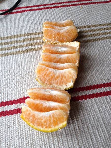 橘子切法 一條龍 一長條