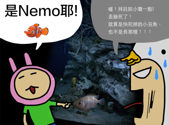 nemo2