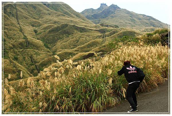 IMG_6540.JPG IMG_6540.JPG