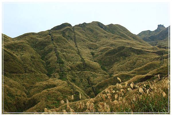 IMG_6541.JPG IMG_6541.JPG