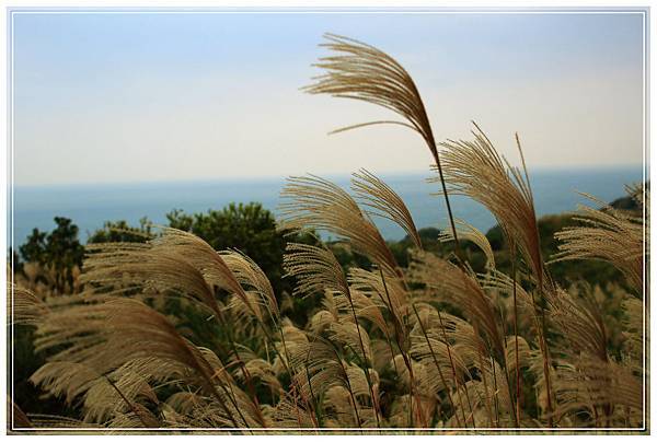 IMG_6542.JPG IMG_6542.JPG