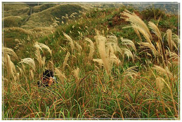 IMG_6547.JPG IMG_6547.JPG