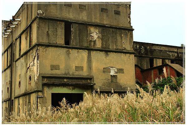 IMG_6549.JPG IMG_6549.JPG