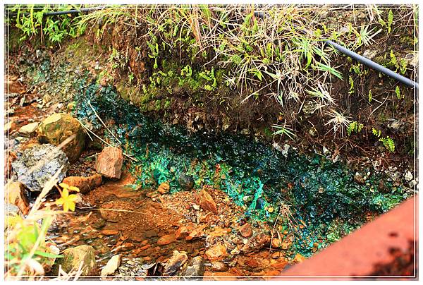 IMG_6552.JPG IMG_6552.JPG