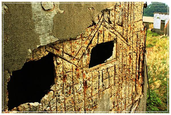 IMG_6565.JPG IMG_6565.JPG